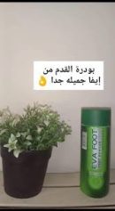 ايفا بودرة للقدم بالصبار 50 مل