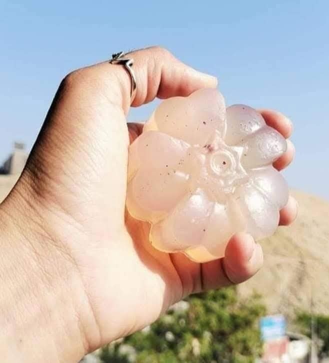 أهم صابونة لبان الدكر الي بتساعد علي تفتيح البشرة وتجديد - الصورة 3